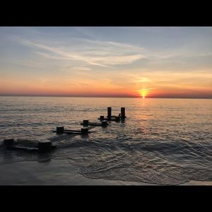 Meet your Posher, Violet